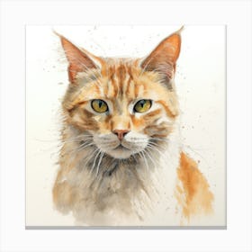 Chartruex Cat Portrait 2 Canvas Print