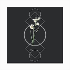 Vintage Painted Lady Botanical with Geometric Line Motif and Dot Pattern n.0073 Canvas Print