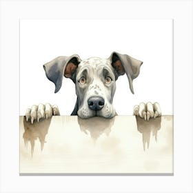 Great Dane Dog 1 Canvas Print