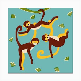 Monkeys Square Canvas Print
