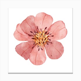 Watercolor Flower 3 Canvas Print