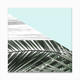 Palm Mint Canvas Print