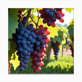 Red And Blue Grapes On Vine Canvas Print