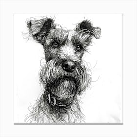 Cesky Terrier Dog Line Sketch 3 Canvas Print