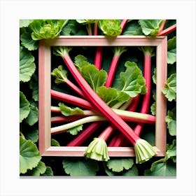 Rhubarb In A Frame 7 Canvas Print