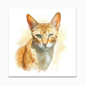 Bali Cat Portrait 3 Canvas Print