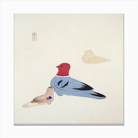 Pigeons Canvas Print