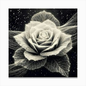 Black And White Rose Canvas Print