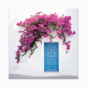 Bougainvillea Door Canvas Print