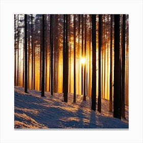 Sunrise In The Forest 22 Canvas Print