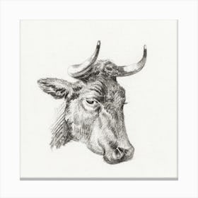 Head Of A Cow, Jean Bernard Canvas Print