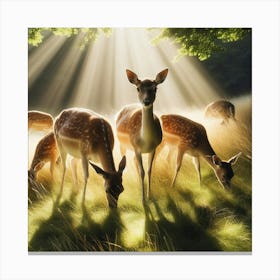 Deer In The Sun Canvas Print