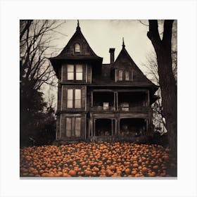 Haunted House 14 Canvas Print