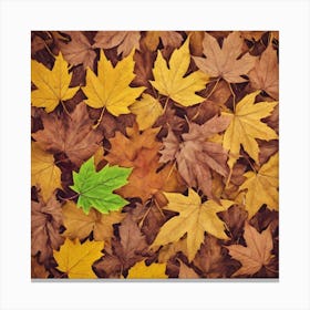 Autumn Leaves Background Photo Canvas Print