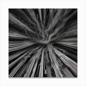 Abstract Black And White Image Canvas Print