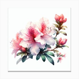 Flower of Azalea 2 Canvas Print