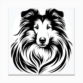 Collie Dog Canvas Print