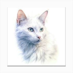 Minuet Cat Portrait 2 Canvas Print