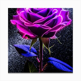 Purple Rose Canvas Print