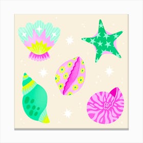 Seashells Canvas Print