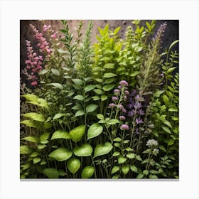 Herbs As A Background Mysterious (2) Canvas Print