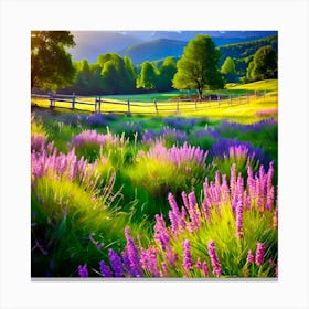 Lavender Field At Sunset Canvas Print