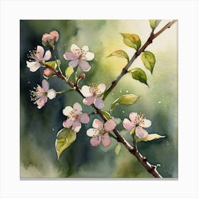 Cherry Blossoms 19 Canvas Print