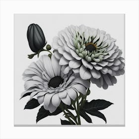 Chrysanthemums myluckycharm Canvas Print