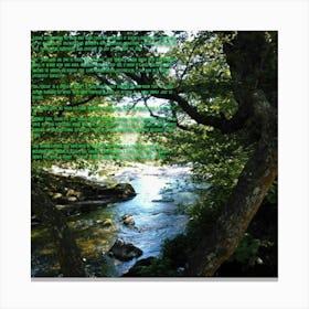 "The Art Of Noise" Canvas Print