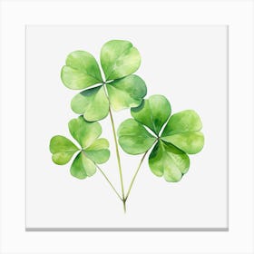 Four Leaf Clover 15 Canvas Print