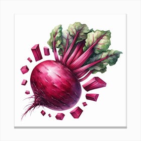 Beetroot Canvas Print