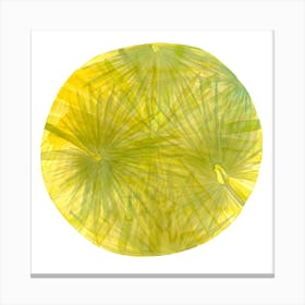 Fan Palms Circle Canvas Print