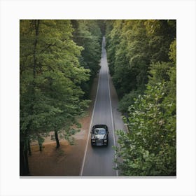 A Birds Eye View Of A Forest Canvas Print