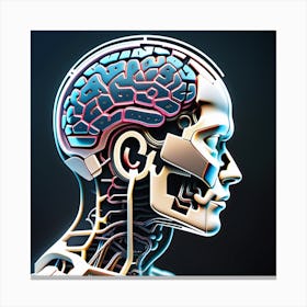 Human Brain 3d Illustration Canvas Print