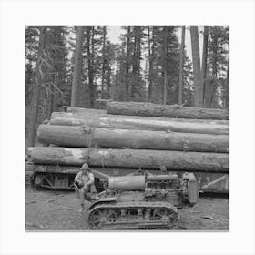 Untitled Photo, Possibly Related To Grant County,Oregon, Malheur National Forest, Caterpillar Tractor And Logs By Canvas Print