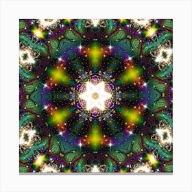 Psychedelic Mandala 72 Canvas Print