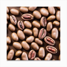 Coffee Beans 263 Canvas Print