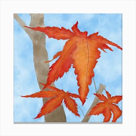 Japanese Maple Leaves Canvas Print