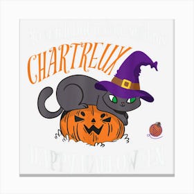 Chartreux Cat Lover Not A Witch Funny Halloween Toile