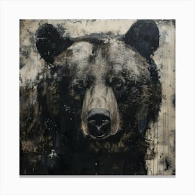 'Black Bear' Canvas Print