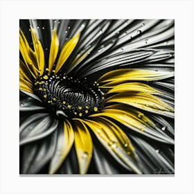 Touch of yellow on black flower Canvas Print