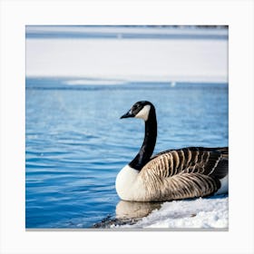 Canadian Geese 3 Canvas Print