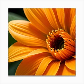 Orange Dahlia Canvas Print