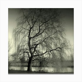 Weeping Canvas Print