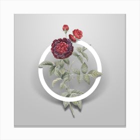 Vintage One Hundred Leaved Rose Minimalist Flower Geometric Circle on Soft Gray Canvas Print