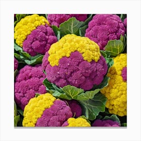 Purple And Yellow Cauliflower 1 Canvas Print