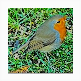 Robin Redbreast Canvas Print