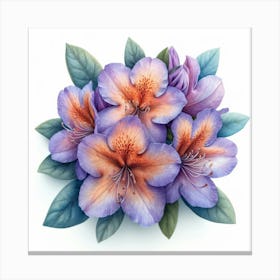 Rhododendron 2 Canvas Print