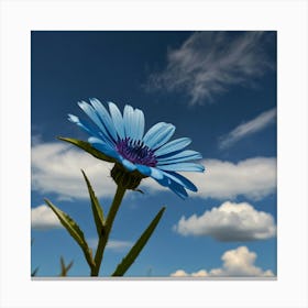 Blue Daisy Canvas Print