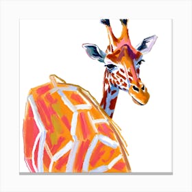 Reticulated Giraffe 01 1 Canvas Print